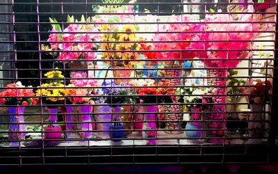 I Am The Middlewoman