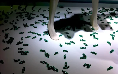 UNWRAPPING EVERYWHERE