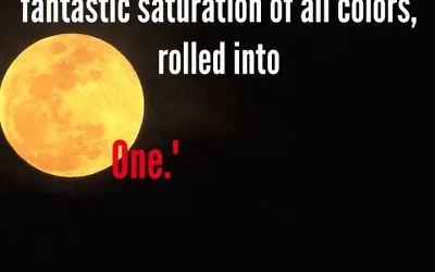 THE COLOR OF DARKNESS